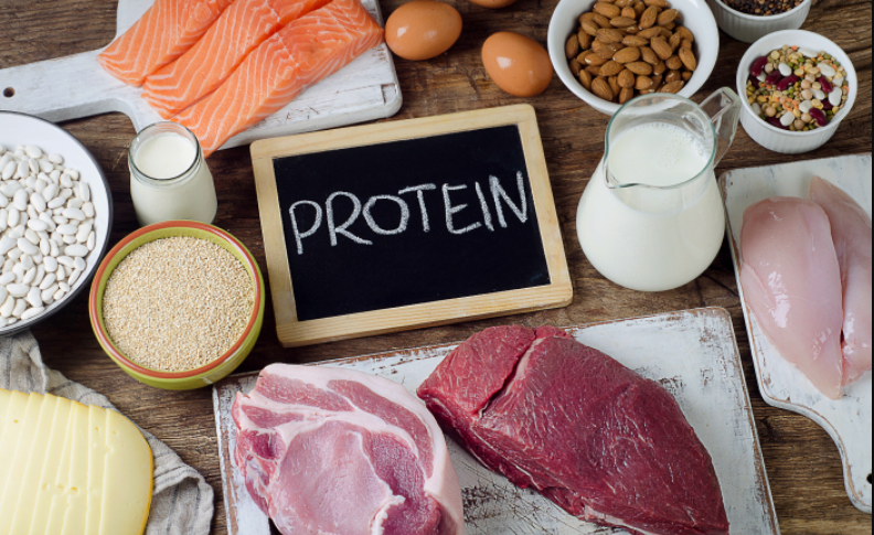 protein adalah