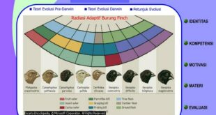 Diagram mekanisme evolusi yang menunjukkan seleksi alam dan mutasi genetik