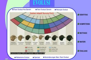 Diagram mekanisme evolusi yang menunjukkan seleksi alam dan mutasi genetik