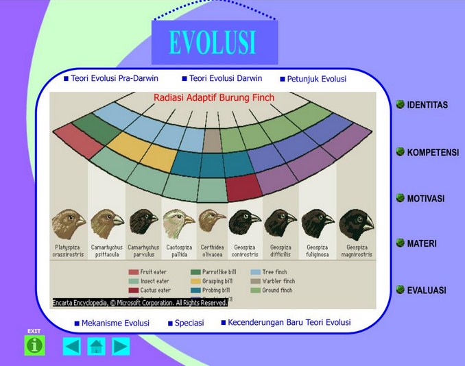 Diagram mekanisme evolusi yang menunjukkan seleksi alam dan mutasi genetik