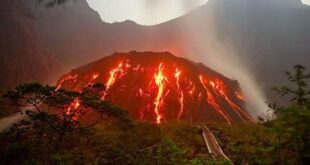 Erupsi Gunung Berapi Menyemburkan Lava dan Abu, Memberikan Dampak pada Lingkungan