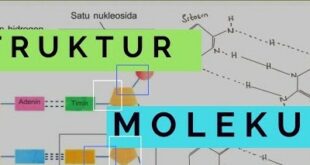 Gambar yang menggambarkan struktur DNA sebagai dasar genetika molekuler.