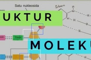 Gambar yang menggambarkan struktur DNA sebagai dasar genetika molekuler.