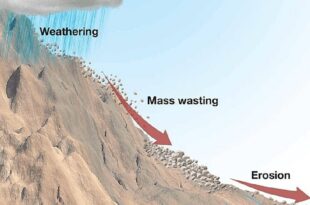 Ilustrasi proses erosi dan sedimentasi yang mempengaruhi bentang alam dan lingkungan.