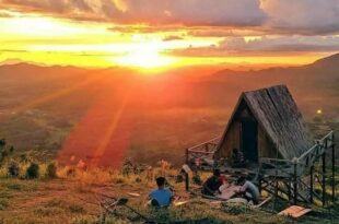 Pemandangan alam yang indah dengan gunung, hutan, dan lautan yang menunjukkan keajaiban alam di sekitar kita.