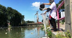 Gambar yang mewakili dampak pencemaran logam berat pada lingkungan, termasuk kerusakan tanah dan air.