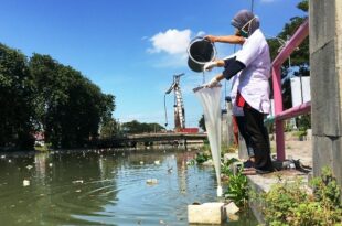 Gambar yang mewakili dampak pencemaran logam berat pada lingkungan, termasuk kerusakan tanah dan air.