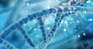 Diagram DNA menunjukkan struktur heliks ganda dan pasangan basa nitrogen