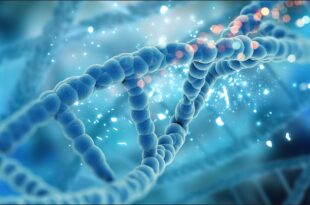 Diagram DNA menunjukkan struktur heliks ganda dan pasangan basa nitrogen