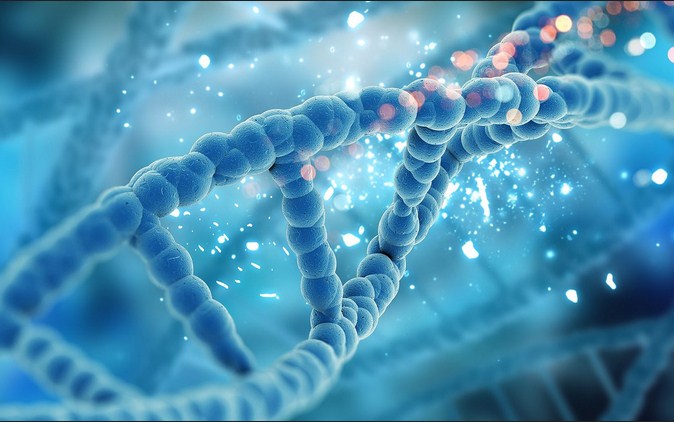 Diagram DNA menunjukkan struktur heliks ganda dan pasangan basa nitrogen