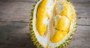 Durian dengan manfaat kesehatan yang melimpah