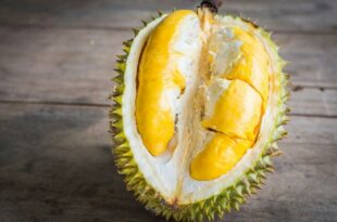 Durian dengan manfaat kesehatan yang melimpah