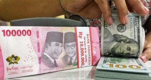 Dolar naik atau turun 2024 hari ini