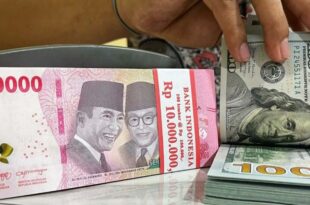 Dolar naik atau turun 2024 hari ini