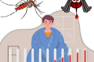 Ilustrasi demam berdarah dan nyamuk Aedes aegypti