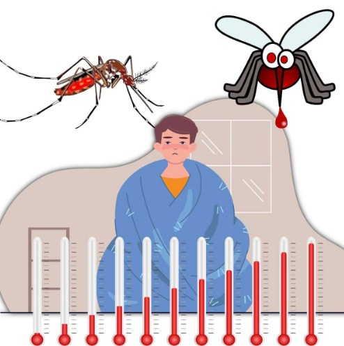 Ilustrasi demam berdarah dan nyamuk Aedes aegypti